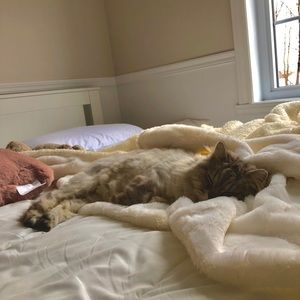 Meet your Posher, Leanne